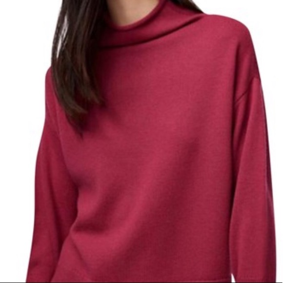 Wilfred Sweaters - Wilfred Cyprie Turtleneck Aritzia